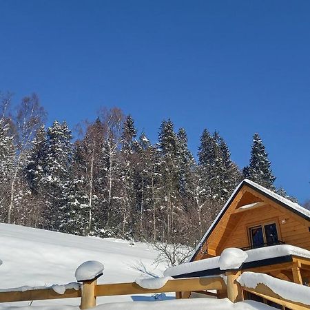 Domek Pod Groniem Mizerna Dış mekan fotoğraf