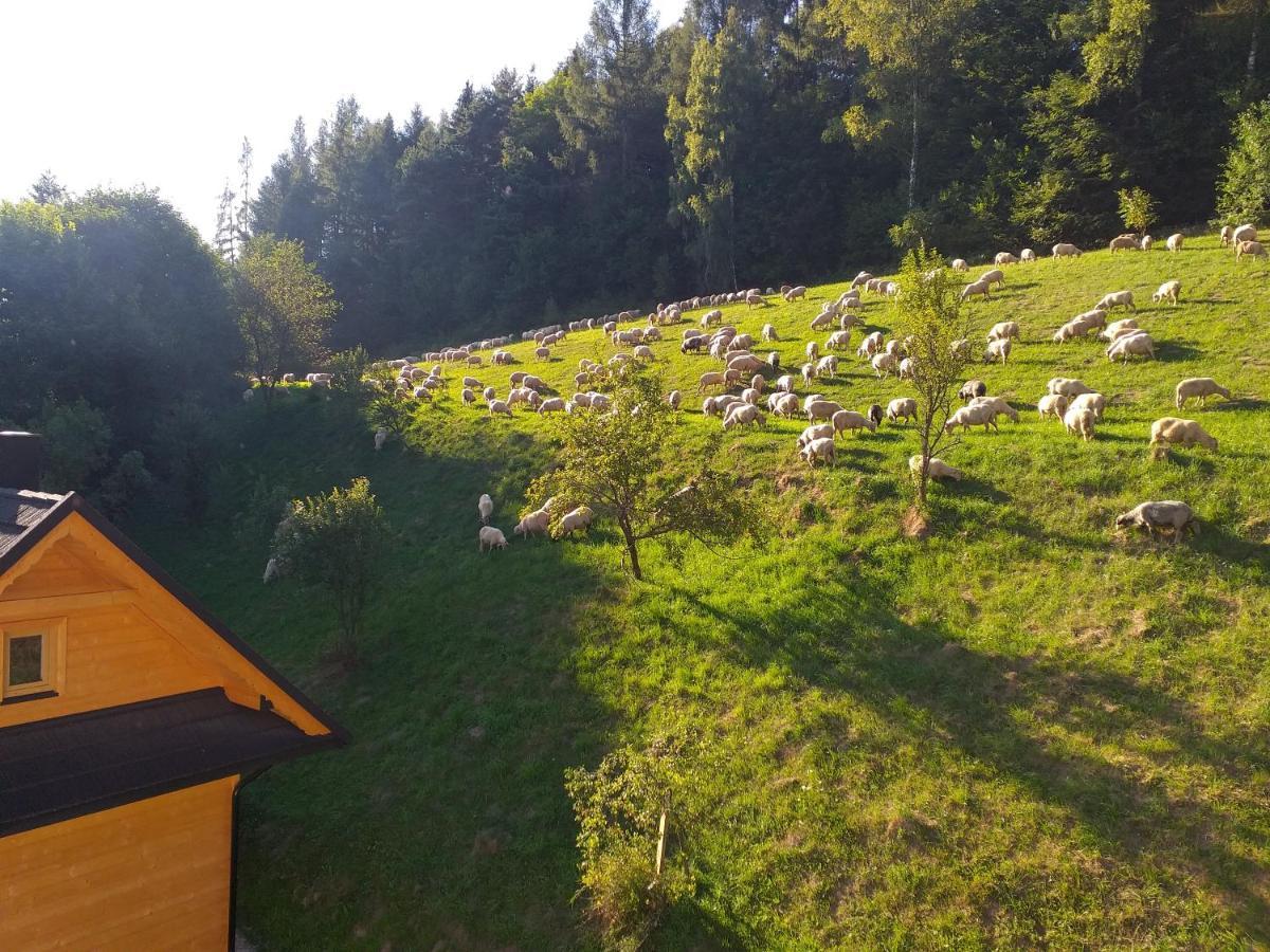 Domek Pod Groniem Mizerna Dış mekan fotoğraf