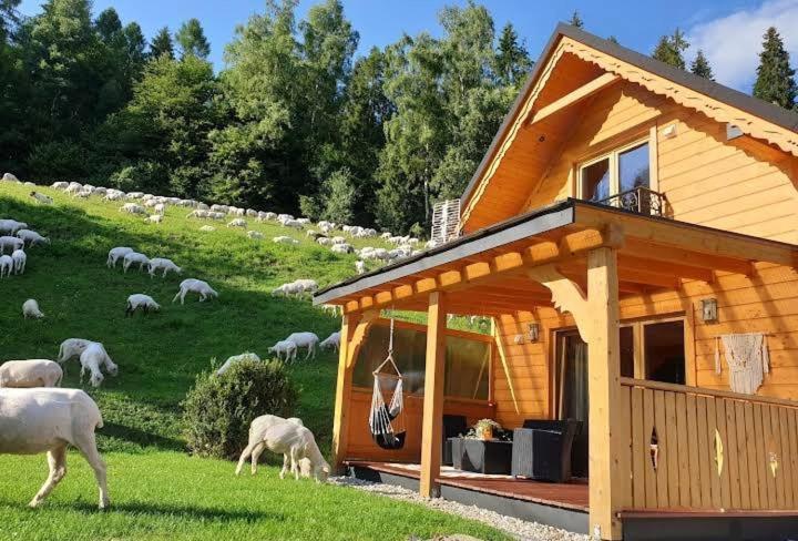 Domek Pod Groniem Mizerna Dış mekan fotoğraf
